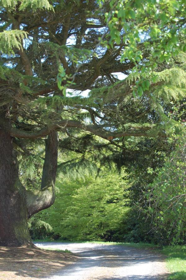 Ballydugan Country House Downpatrick Esterno foto
