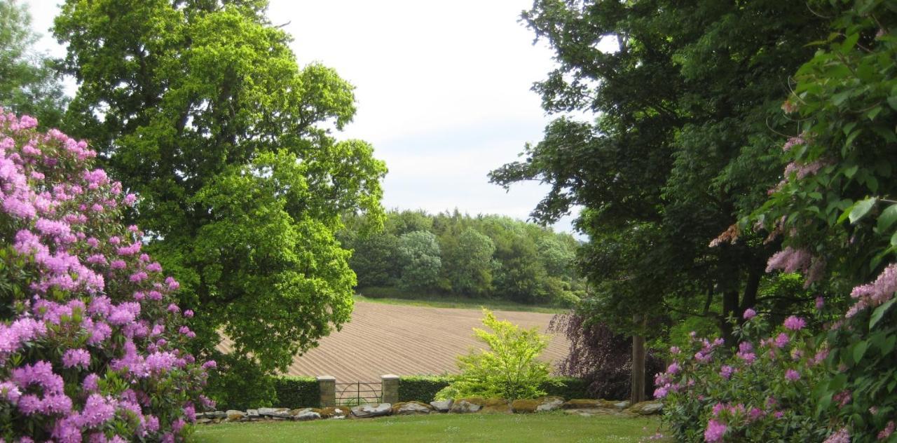 Ballydugan Country House Downpatrick Esterno foto