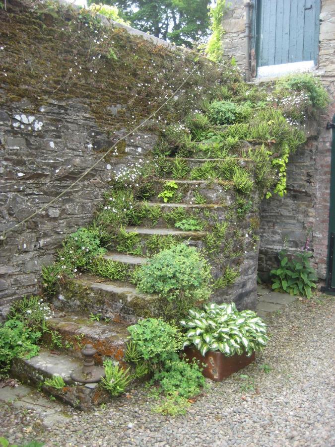 Ballydugan Country House Downpatrick Esterno foto