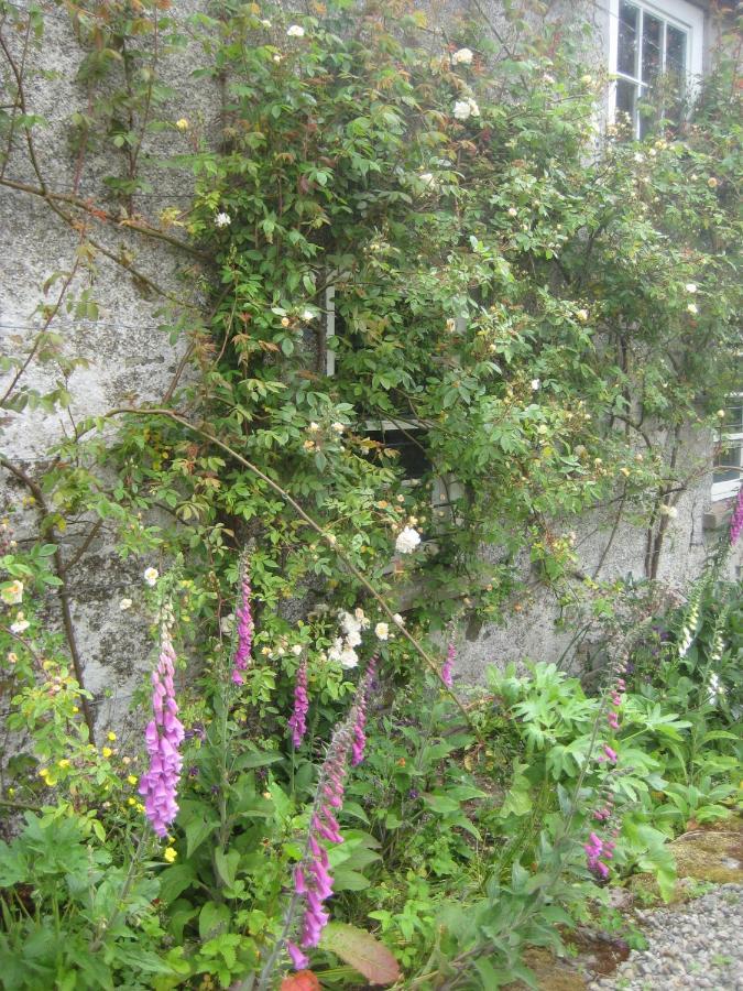 Ballydugan Country House Downpatrick Esterno foto