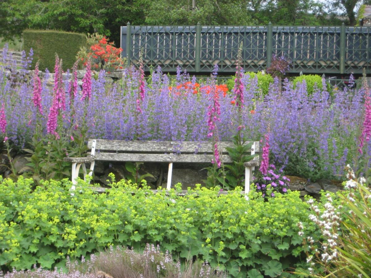 Ballydugan Country House Downpatrick Esterno foto