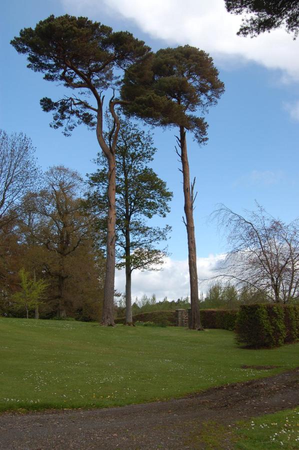 Ballydugan Country House Downpatrick Esterno foto