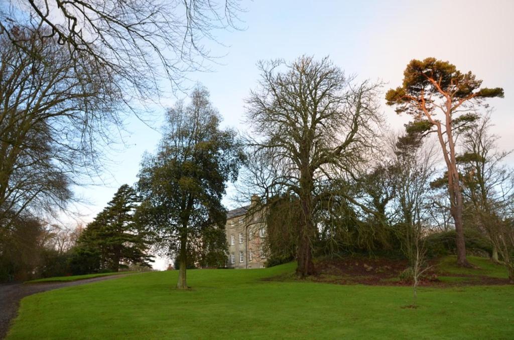 Ballydugan Country House Downpatrick Esterno foto