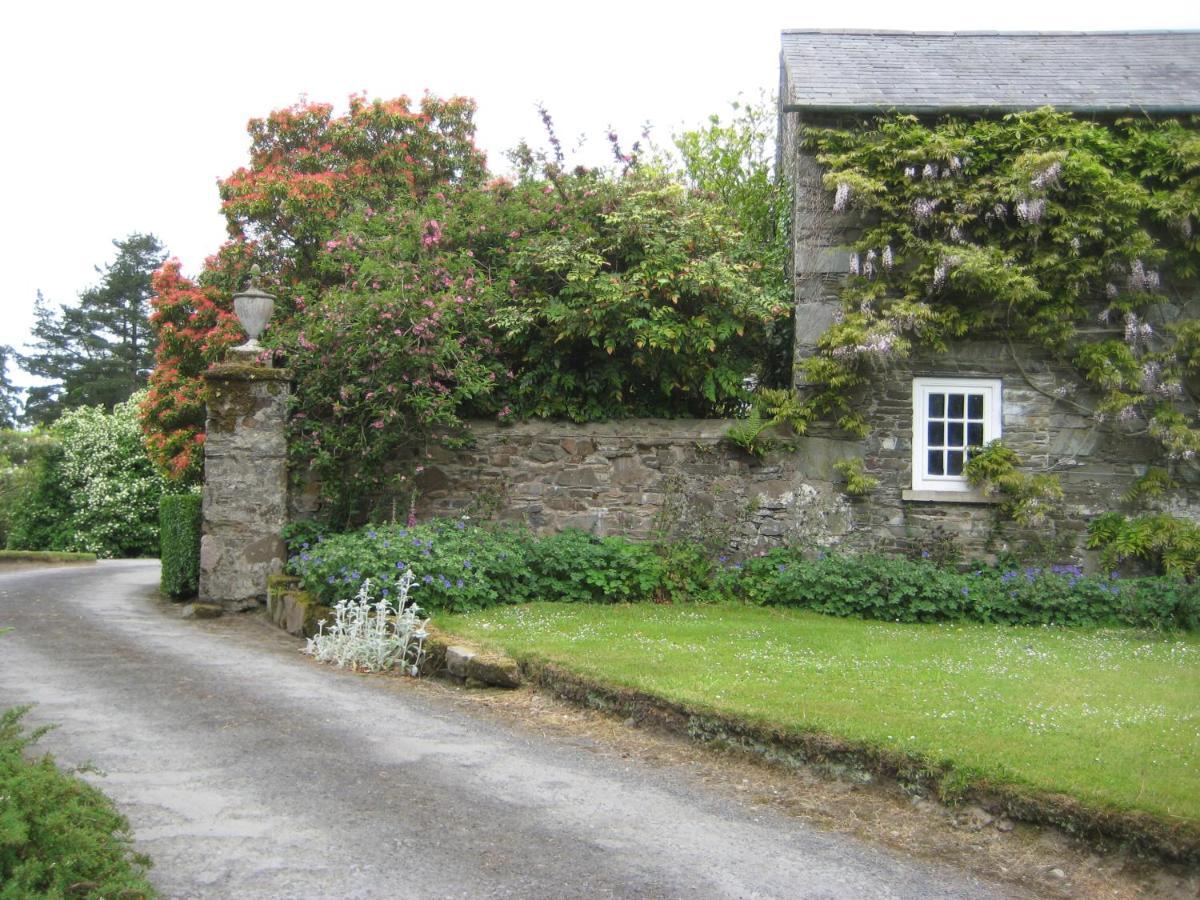 Ballydugan Country House Downpatrick Esterno foto