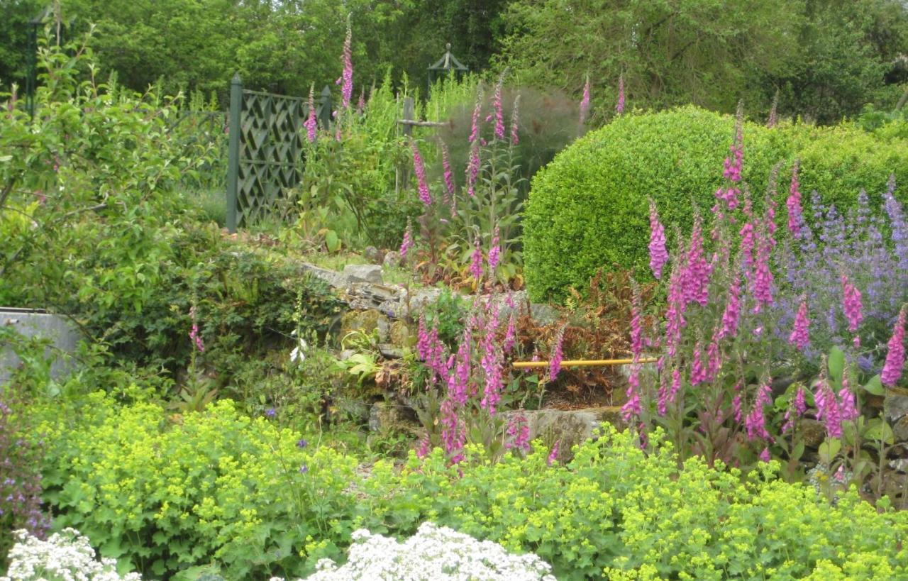 Ballydugan Country House Downpatrick Esterno foto