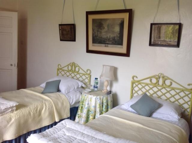 Ballydugan Country House Downpatrick Esterno foto